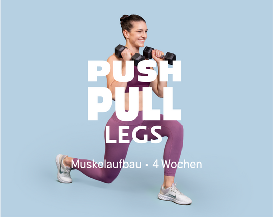 Push Pull Legs